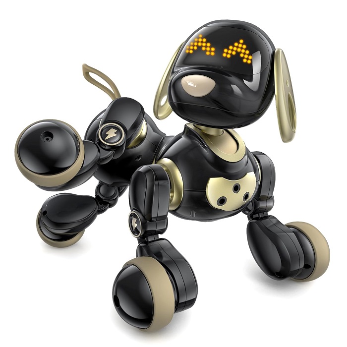 CHÓ ROBOT ĐIỀU KHIỂN TỪ XA