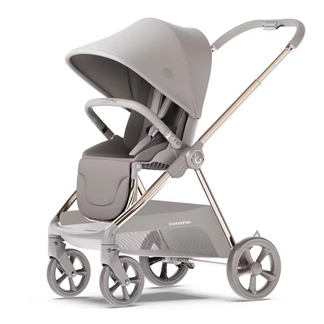 XE ĐẨY 2 CHIỀU BAOBAOHAO T2