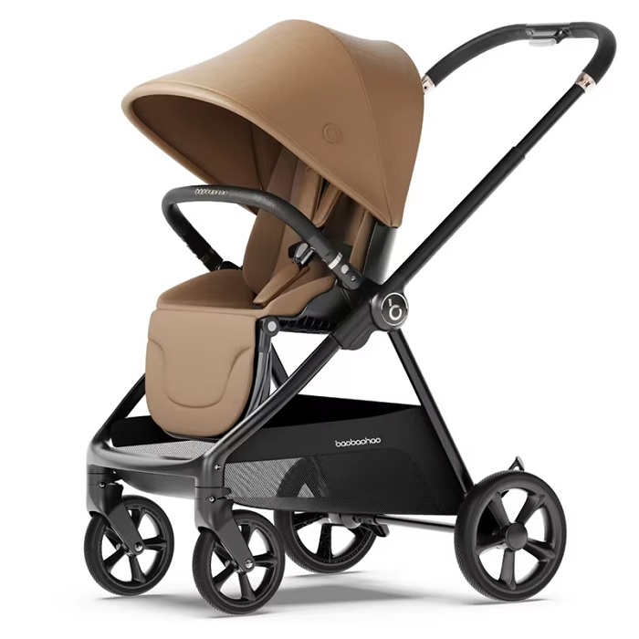 XE ĐẨY 2 CHIỀU BAOBAOHAO T2