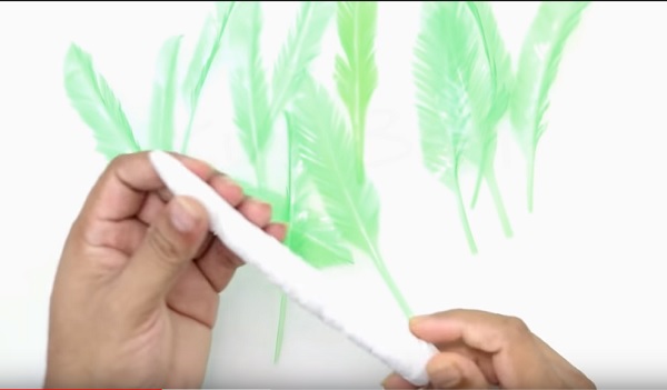 Cach-lam-cay-dua-bang-chai-nhua