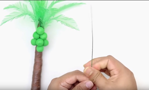 Cach-lam-cay-dua-bang-chai-nhua