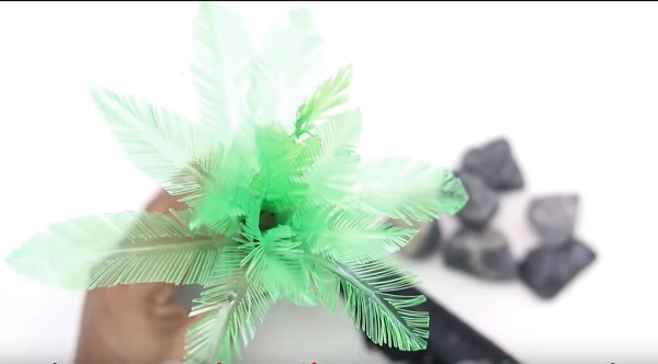 Cach-lam-cay-dua-bang-chai-nhua