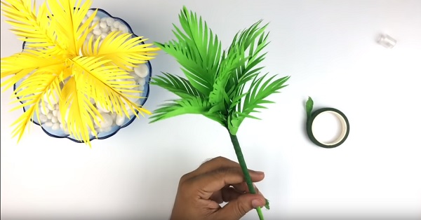 Cach-lam-cay-dua-bang-chai-nhua