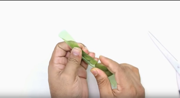 Cach-lam-cay-dua-bang-chai-nhua