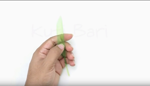 Cach-lam-cay-dua-bang-chai-nhua