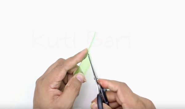 Cach-lam-cay-dua-bang-chai-nhua