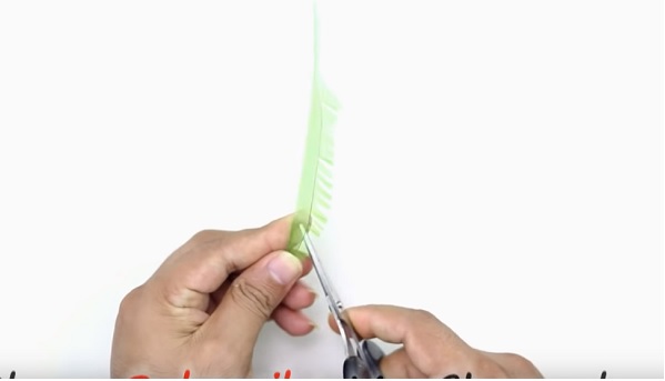 Cach-lam-cay-dua-bang-chai-nhua