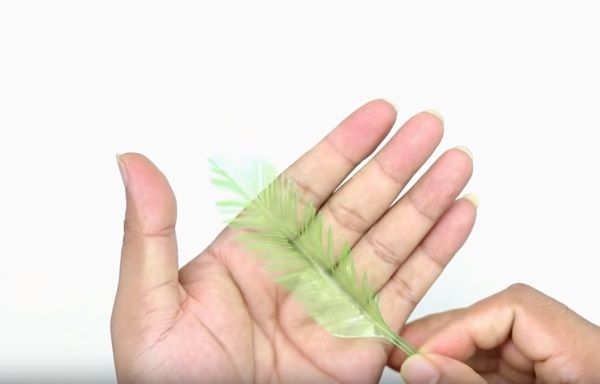 Cach-lam-cay-dua-bang-chai-nhua