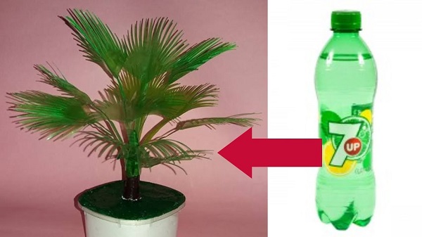 Cach-lam-cay-xanh-bang-chai-nhua