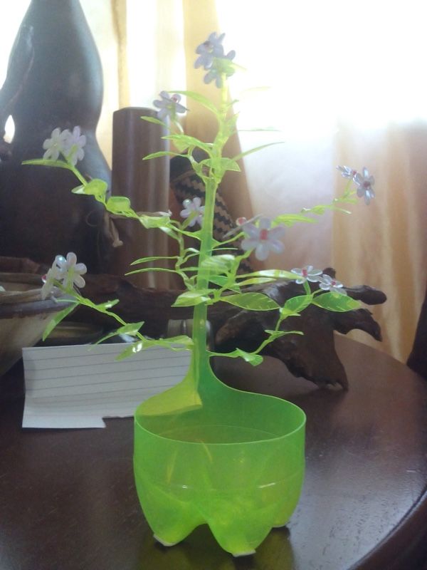 Cach-lam-cay-xanh-bang-chai-nhua