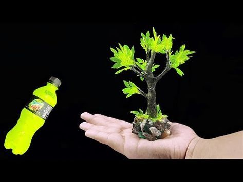 Cach-lam-cay-xanh-bang-chai-nhua