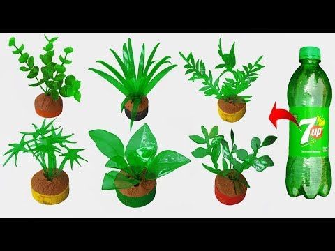 Cach-lam-cay-xanh-bang-chai-nhua