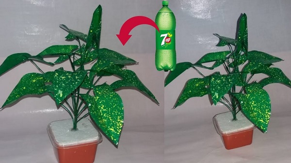 Cach-lam-cay-xanh-bang-chai-nhua