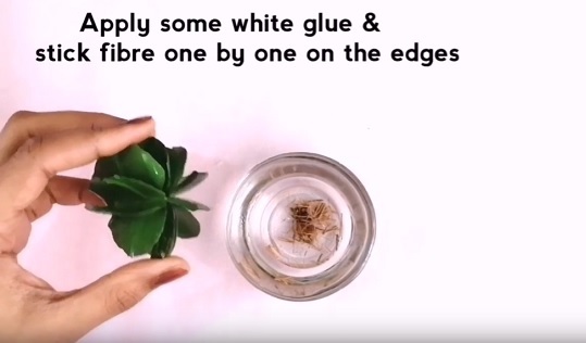 Cach-lam-cay-xuong-rong-bang-chai-nhua