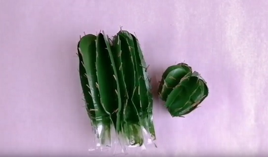 Cach-lam-cay-xuong-rong-bang-chai-nhua