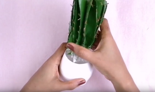 Cach-lam-cay-xuong-rong-bang-chai-nhua