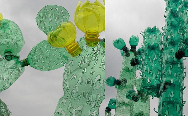 Cach-lam-cay-xuong-rong-bang-chai-nhua