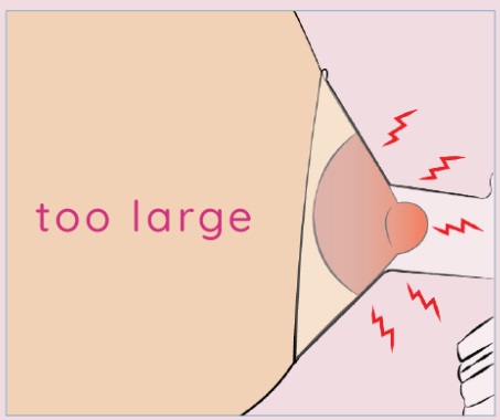 cach-chon-size-pheu-hut-sua-Spectra