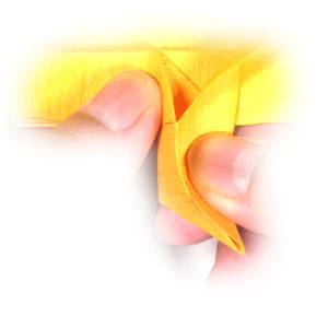 cach-gap-xep-con-ho-3d