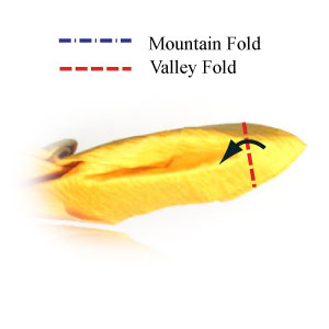 cach-gap-xep-con-ho-3d