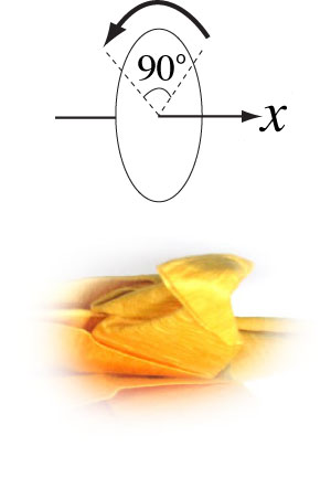 cach-gap-xep-con-ho-3d