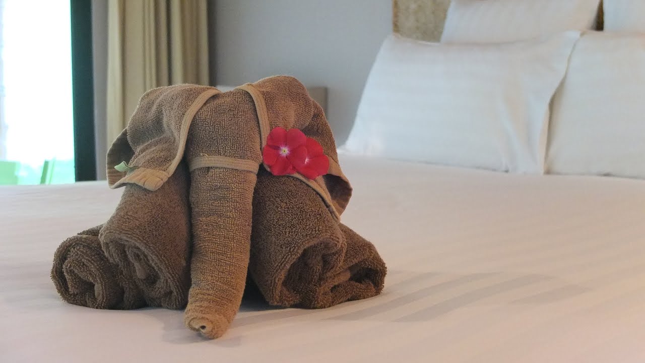 cach-gap-xep-con-voi