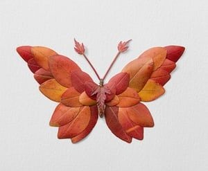 Nhấn vào ảnh để phóng to cach-lam-con-buom-bang-la-cay