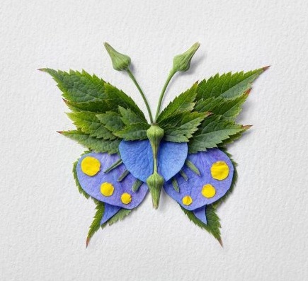 Nhấn vào ảnh để phóng to cach-lam-con-buom-bang-la-cay