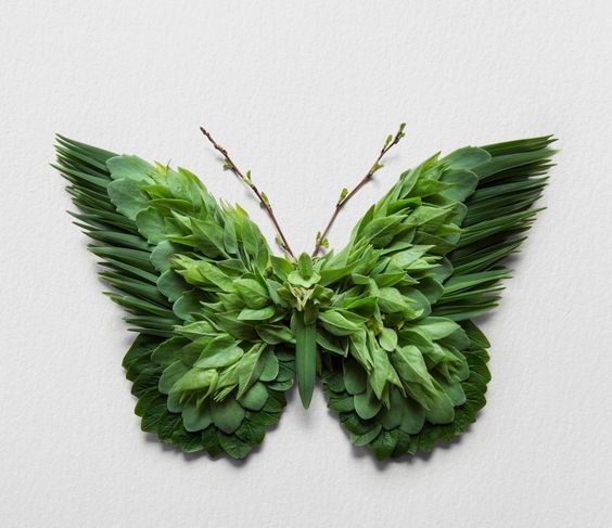 Nhấn vào ảnh để phóng to cach-lam-con-buom-bang-la-cay