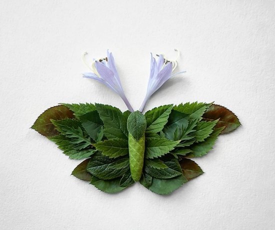 Nhấn vào ảnh để phóng to cach-lam-con-buom-bang-la-cay