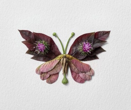 Nhấn vào ảnh để phóng to cach-lam-con-buom-bang-la-cay