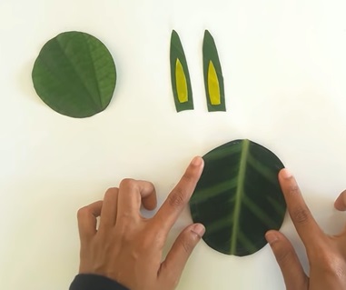 Nhấn vào ảnh để phóng to cach-lam-con-tho-bang-la-cay