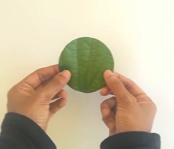 Nhấn vào ảnh để phóng to cach-lam-con-tho-bang-la-cay