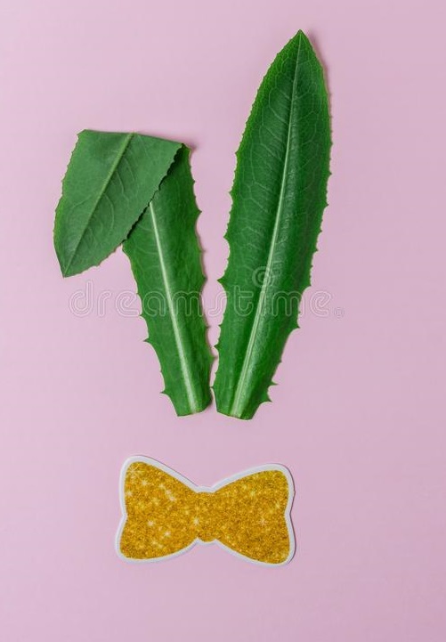 Nhấn vào ảnh để phóng to cach-lam-con-tho-bang-la-cay