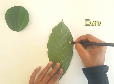 Nhấn vào ảnh để phóng to cach-lam-con-tho-bang-la-cay