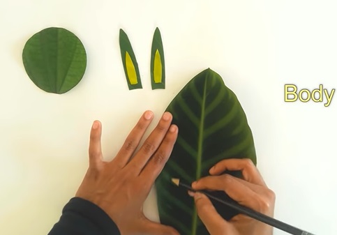 Nhấn vào ảnh để phóng to cach-lam-con-tho-bang-la-cay