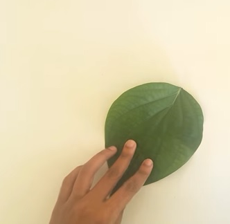 Nhấn vào ảnh để phóng to cach-lam-con-tho-bang-la-cay