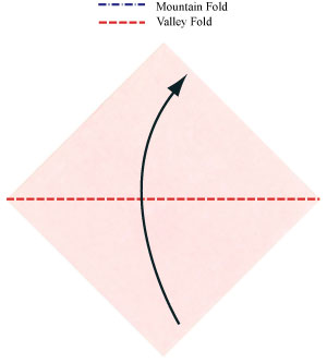 cach-xep-gap-mat-con-ho
