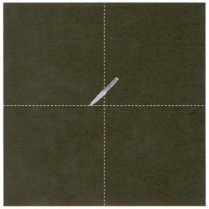 cach-xep-gap-mat-con-ho