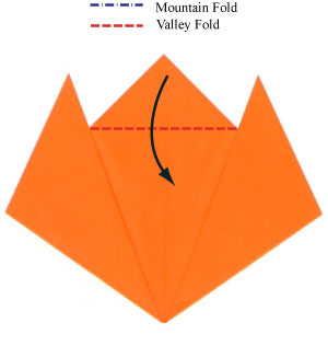 cach-xep-gap-mat-con-ho