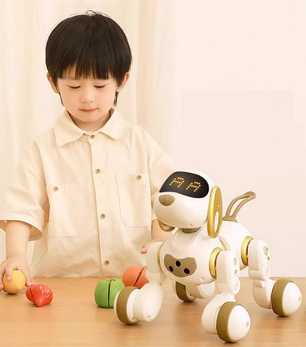 cho-robot-dieu-khien-tu-xa-h6(1)