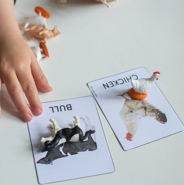 do-choi-Montessori-mo-hinh-dong-vat-12