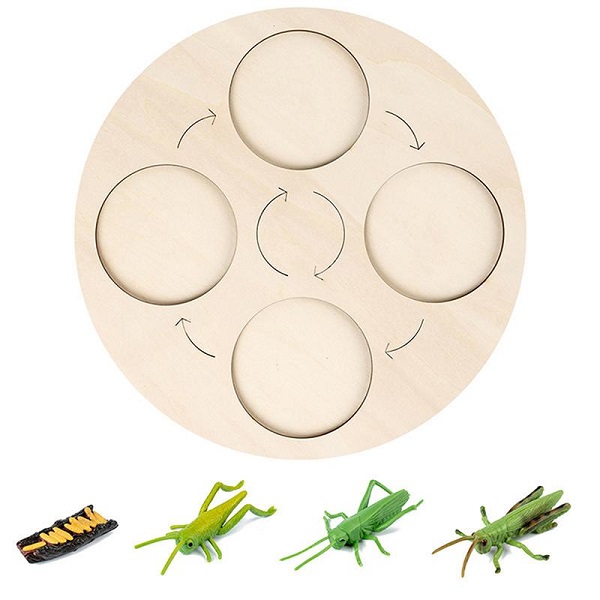 do-choi-Montessori-vong-doi-dong-vat-30