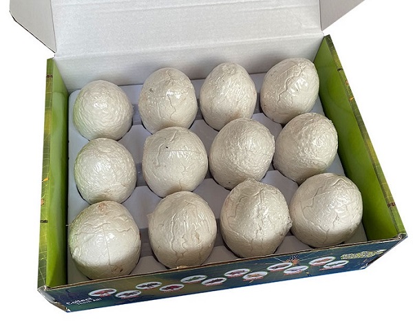 do-choi-khao-co-con-trung-h5