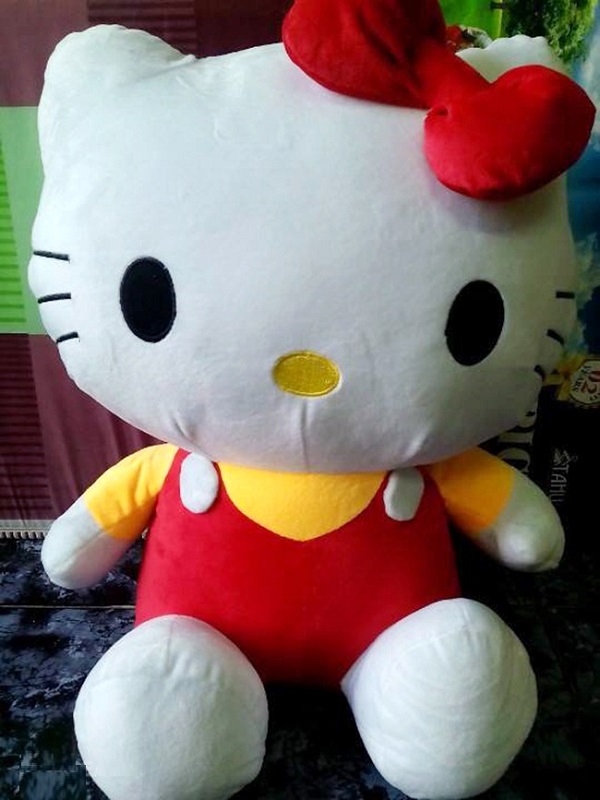 goi-ke-chuyen-da-nang-3-trong-1-hinh-meo-hello-kitty-h4