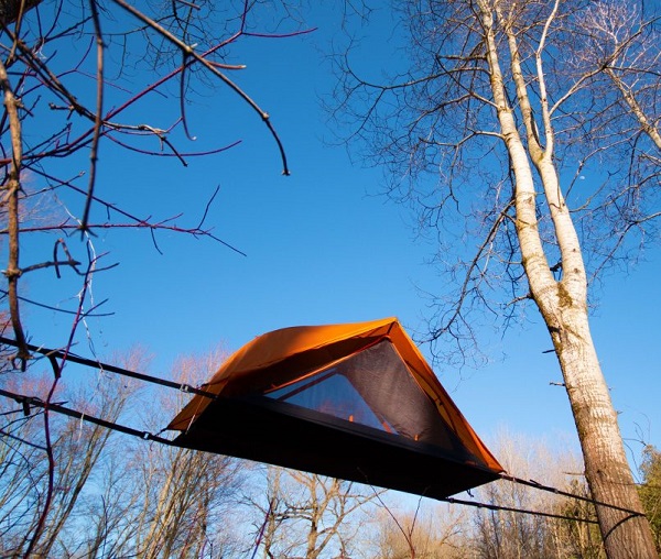 leu-treo-cay-Opeongo-2