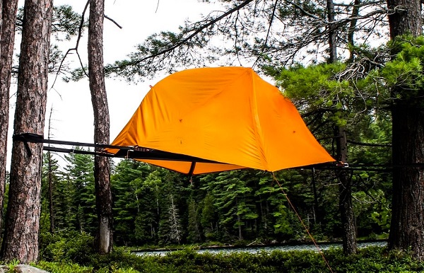 leu-treo-cay-Opeongo-29