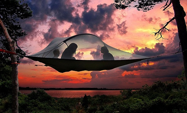 leu-treo-cay-Tentsile-1