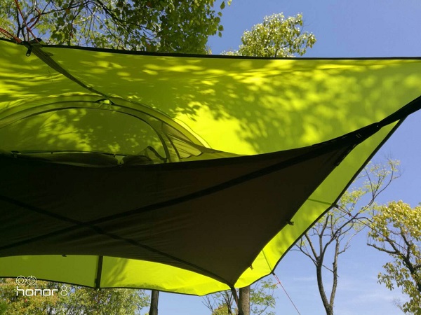 leu-treo-cay-Tentsile-21