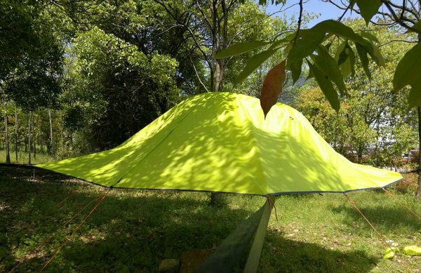 leu-treo-cay-Tentsile-23